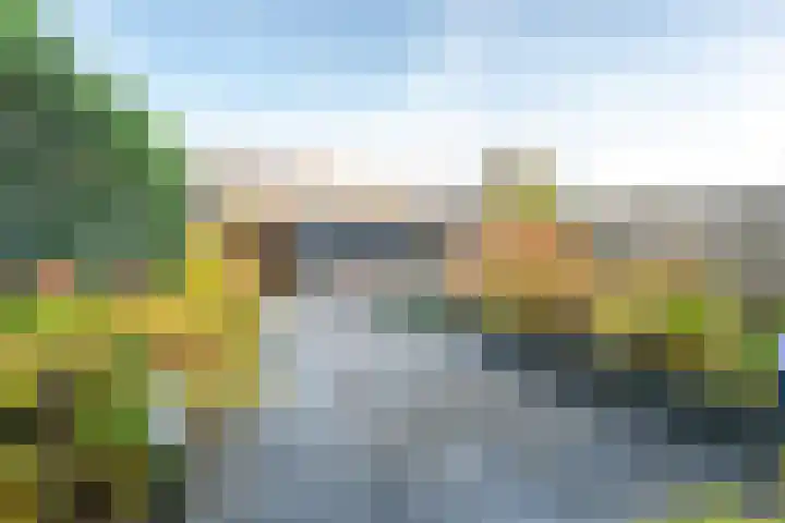 Draagmuur 40 Houten thumbnail 16