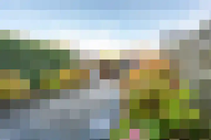 Draagmuur 40 Houten thumbnail 17