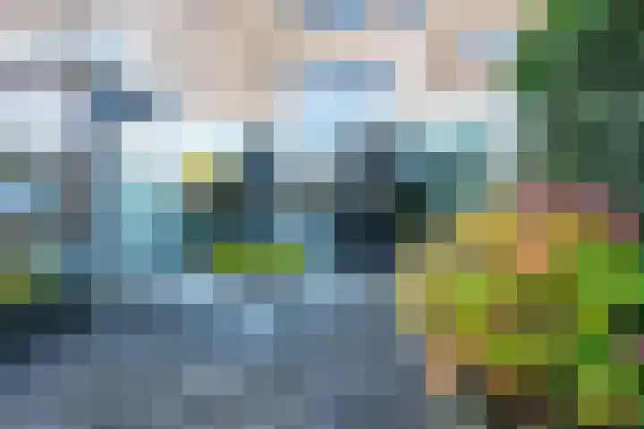 Draagmuur 40 Houten thumbnail 23