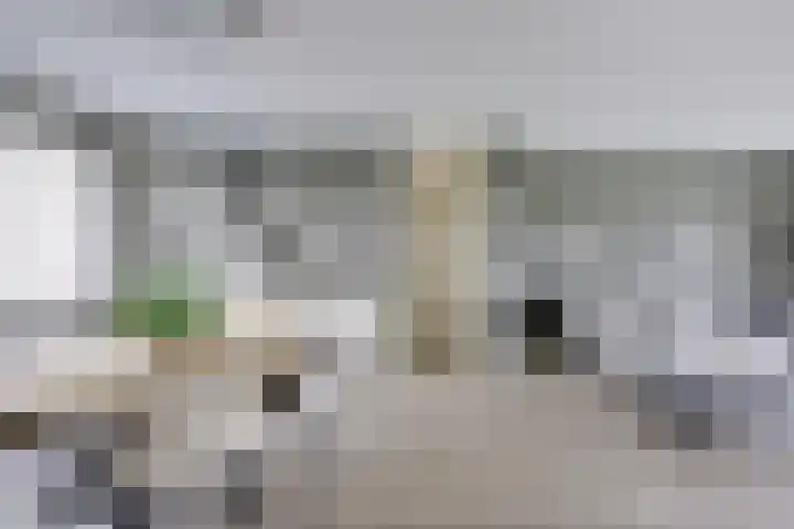 Draagmuur 40 Houten thumbnail 32