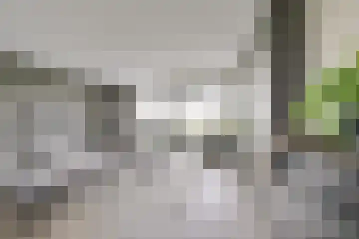 Draagmuur 40 Houten thumbnail 33