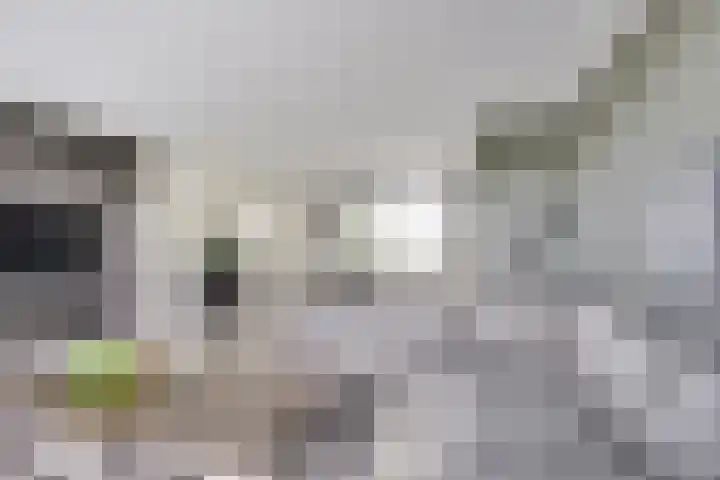 Draagmuur 40 Houten thumbnail 34