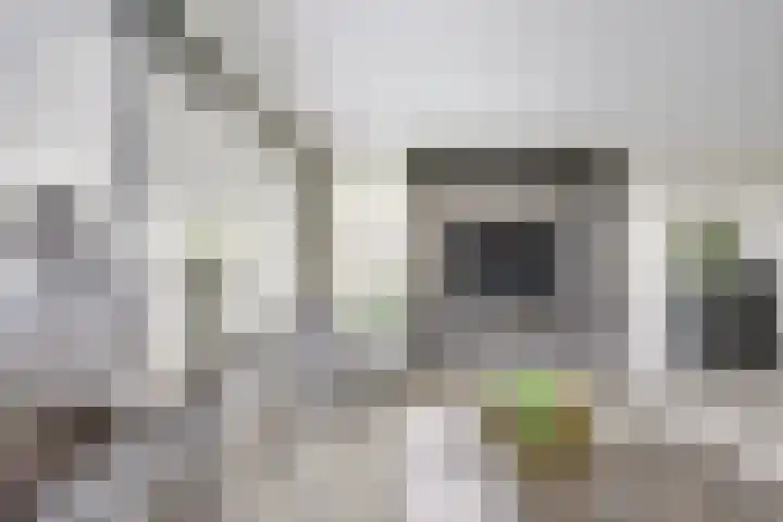 Draagmuur 40 Houten thumbnail 35