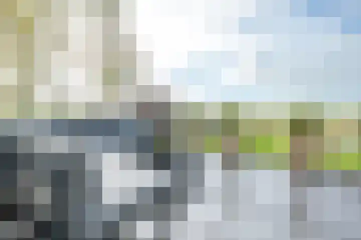 Draagmuur 40 Houten thumbnail 38