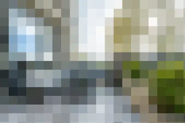 Draagmuur 40 Houten thumbnail 39