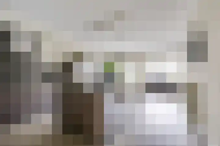 Draagmuur 40 Houten thumbnail 4