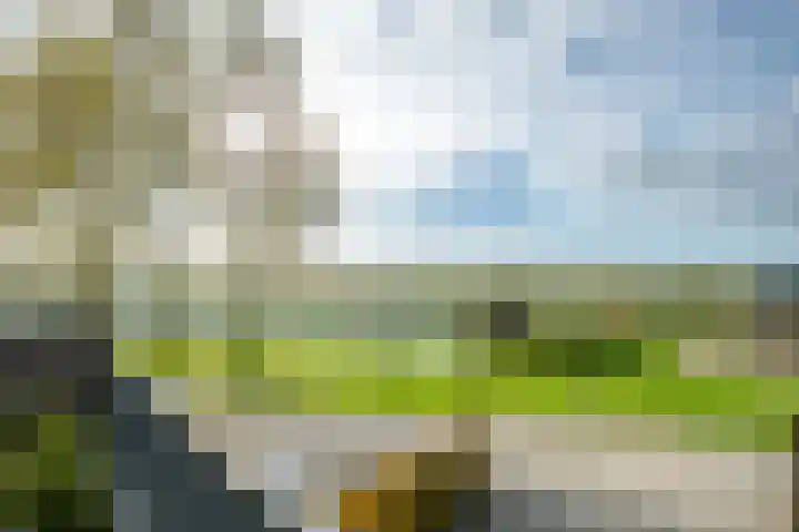 Draagmuur 40 Houten thumbnail 40