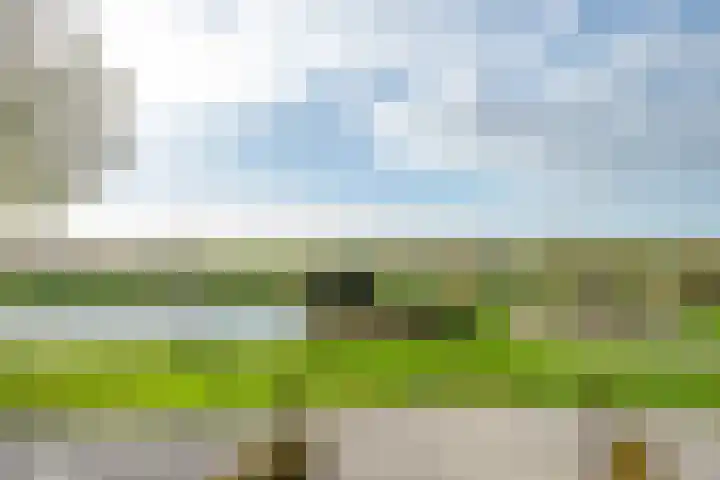 Draagmuur 40 Houten thumbnail 41
