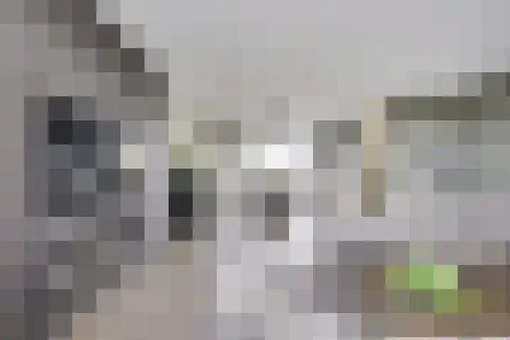 Draagmuur 40 Houten thumbnail 43
