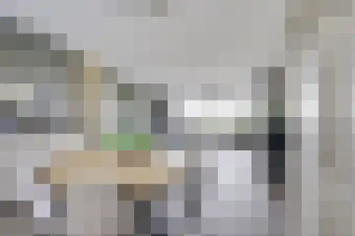 Draagmuur 40 Houten thumbnail 44