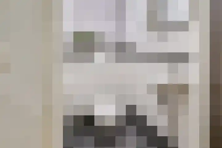 Draagmuur 40 Houten thumbnail 49