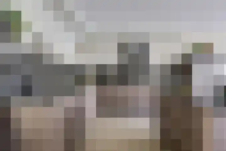 Draagmuur 40 Houten thumbnail 5
