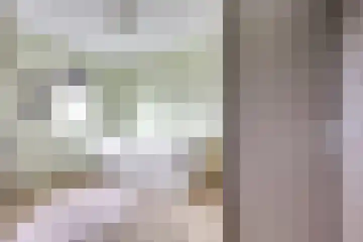 Draagmuur 40 Houten thumbnail 53
