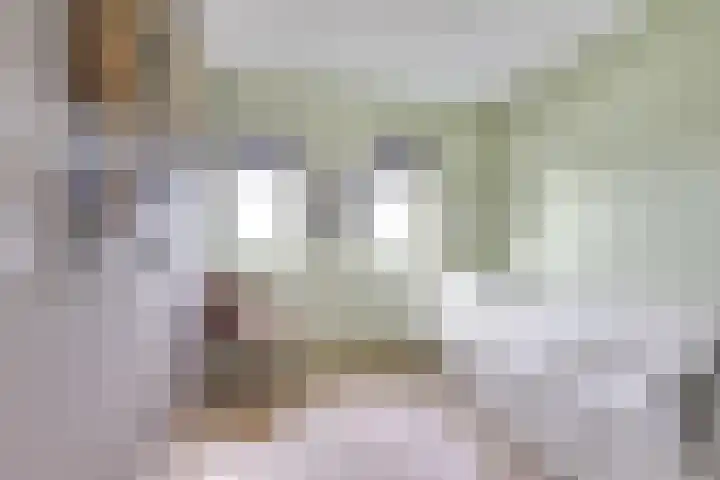 Draagmuur 40 Houten thumbnail 54