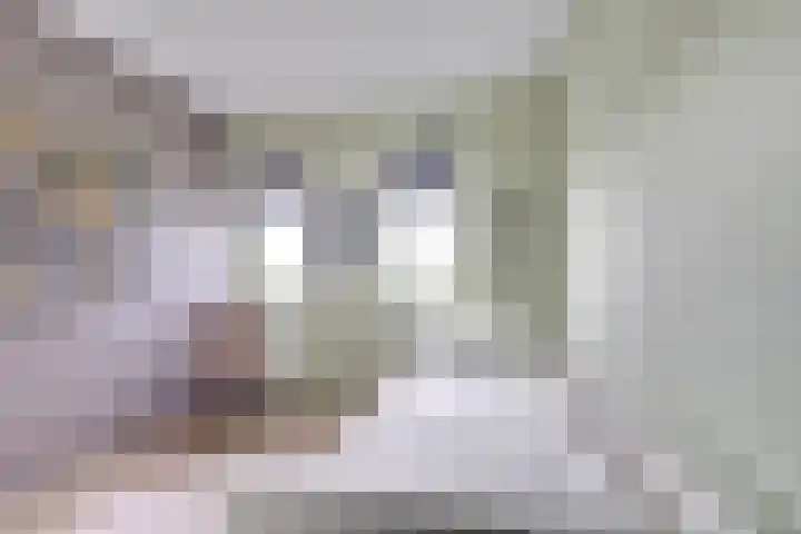 Draagmuur 40 Houten thumbnail 55