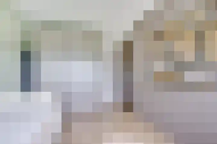 Draagmuur 40 Houten thumbnail 56