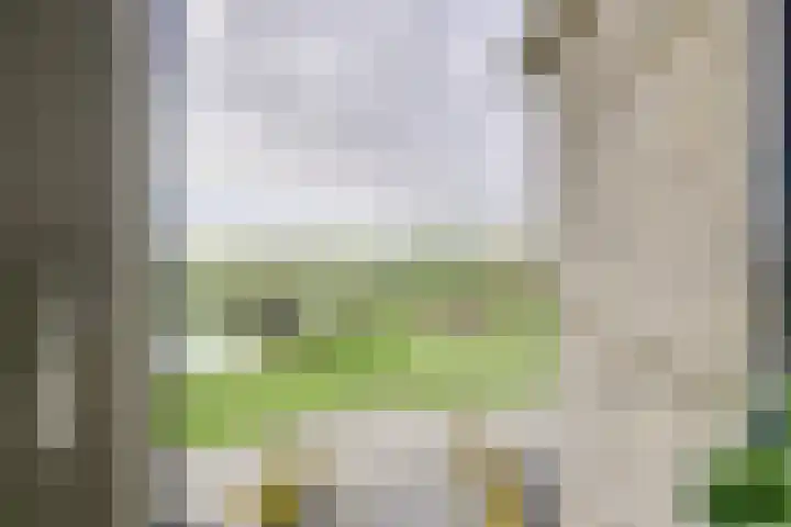 Draagmuur 40 Houten thumbnail 57