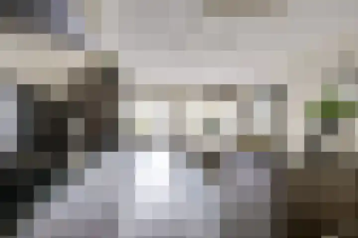 Draagmuur 40 Houten thumbnail 6