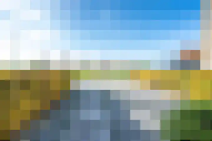 Draagmuur 40 Houten thumbnail 60