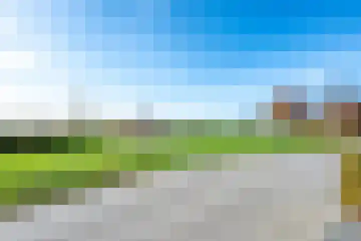 Draagmuur 40 Houten thumbnail 61