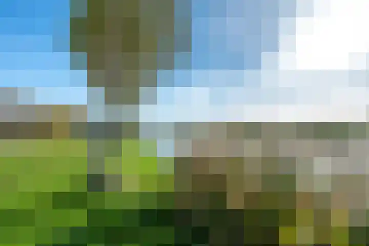 Draagmuur 40 Houten thumbnail 62
