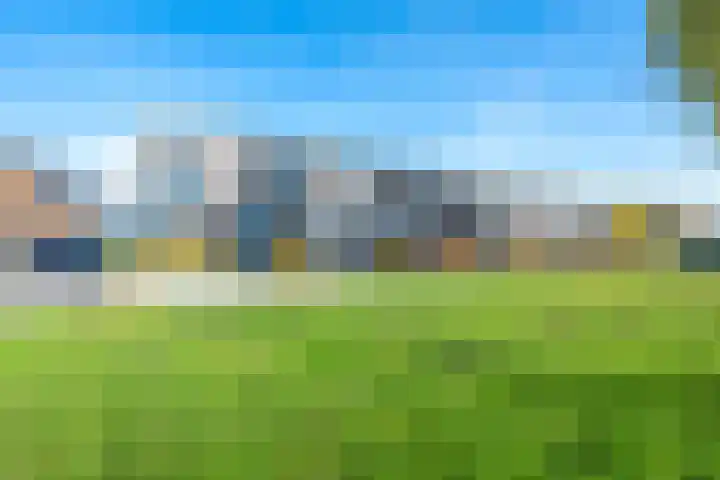 Draagmuur 40 Houten thumbnail 63