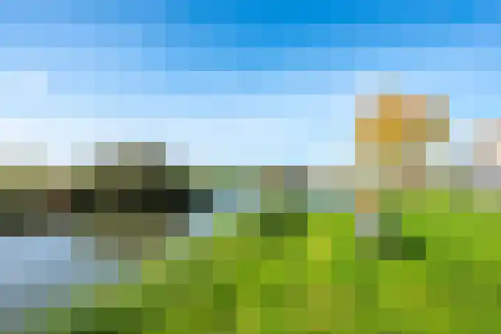 Draagmuur 40 Houten thumbnail 67