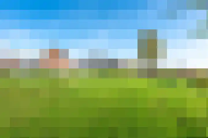 Draagmuur 40 Houten thumbnail 68