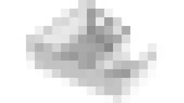 Draagmuur 40 Houten thumbnail 85