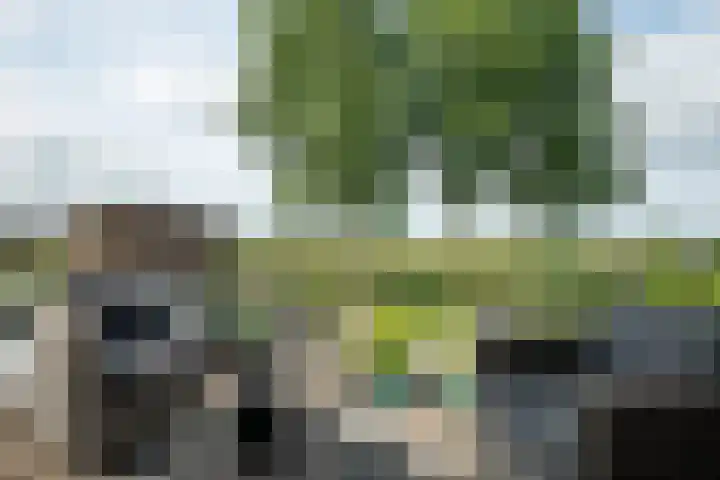 Draagmuur 50 Houten thumbnail 10