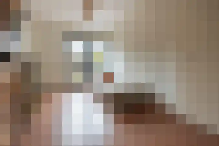 Draagmuur 50 Houten thumbnail 12