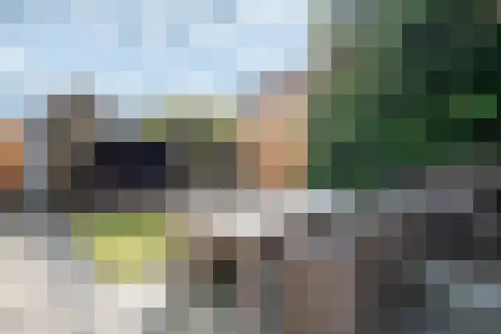 Draagmuur 50 Houten thumbnail 14