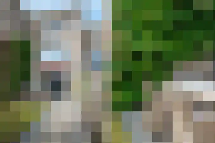 Draagmuur 50 Houten thumbnail 15