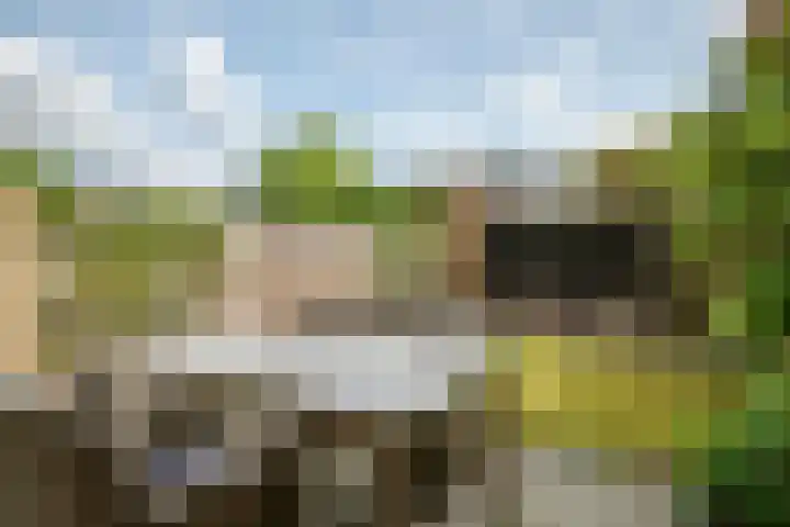 Draagmuur 50 Houten thumbnail 16