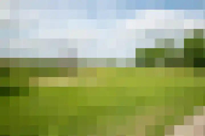 Draagmuur 50 Houten thumbnail 23