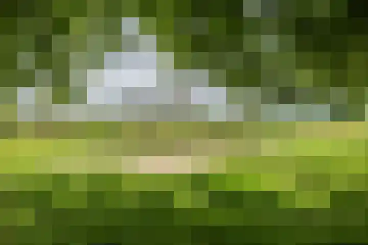 Draagmuur 50 Houten thumbnail 24