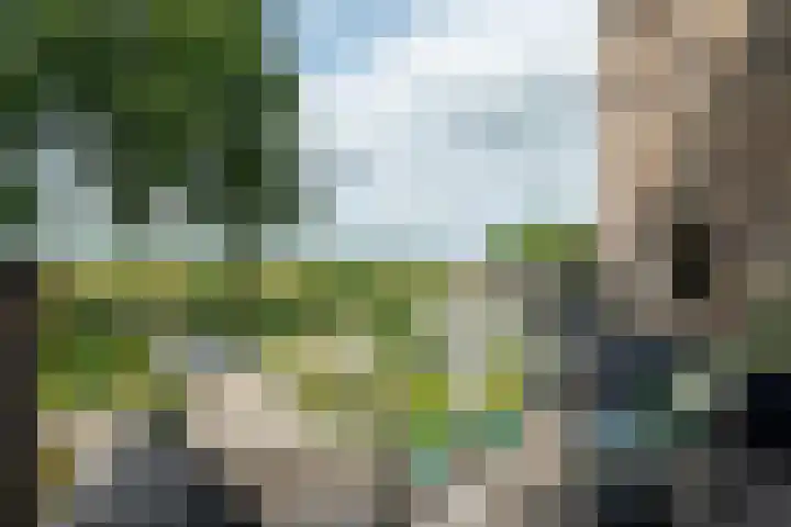 Draagmuur 50 Houten thumbnail 30