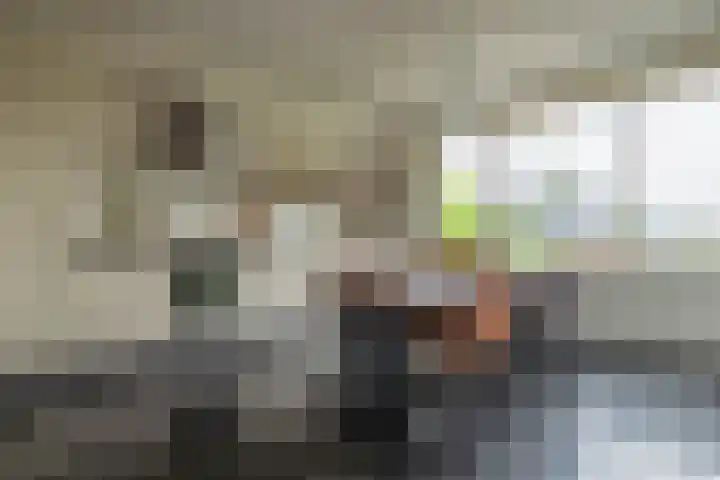 Draagmuur 50 Houten thumbnail 6