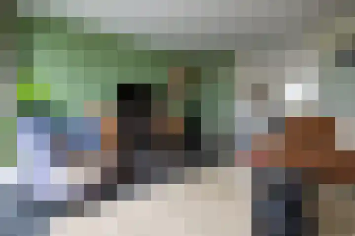 Draagmuur 50 Houten thumbnail 8