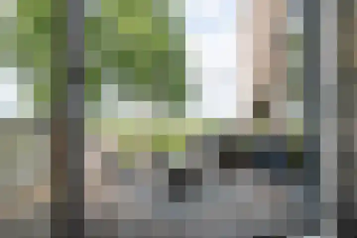 Draagmuur 50 Houten thumbnail 9