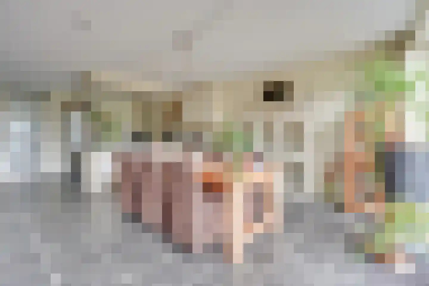 Draagmuur 52 Houten thumbnail 12
