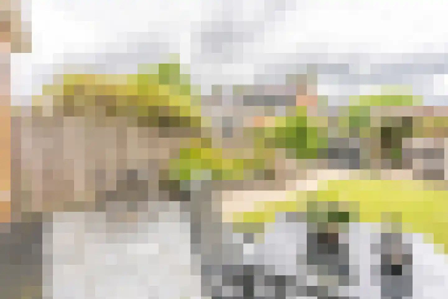 Draagmuur 52 Houten thumbnail 17
