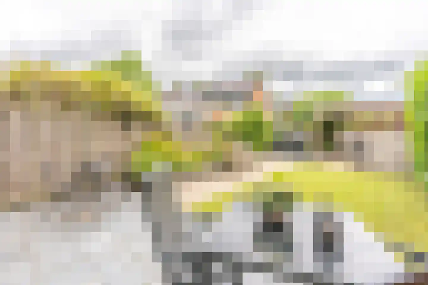 Draagmuur 52 Houten thumbnail 18
