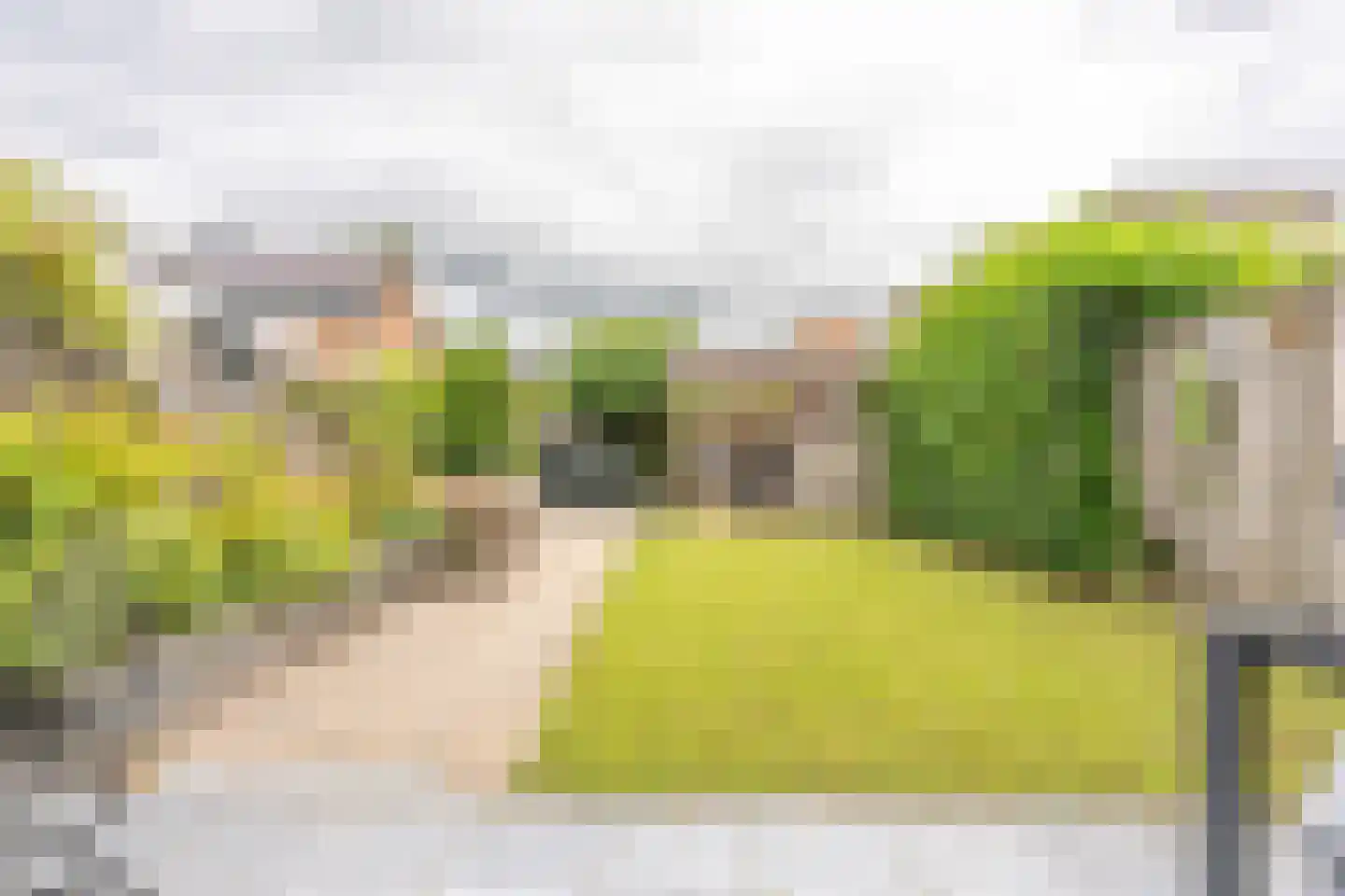 Draagmuur 52 Houten thumbnail 19