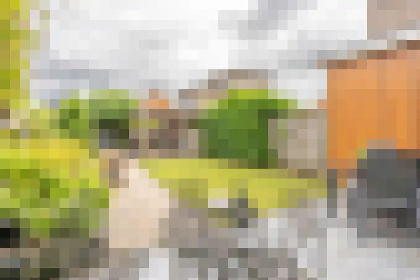 Draagmuur 52 Houten thumbnail 20