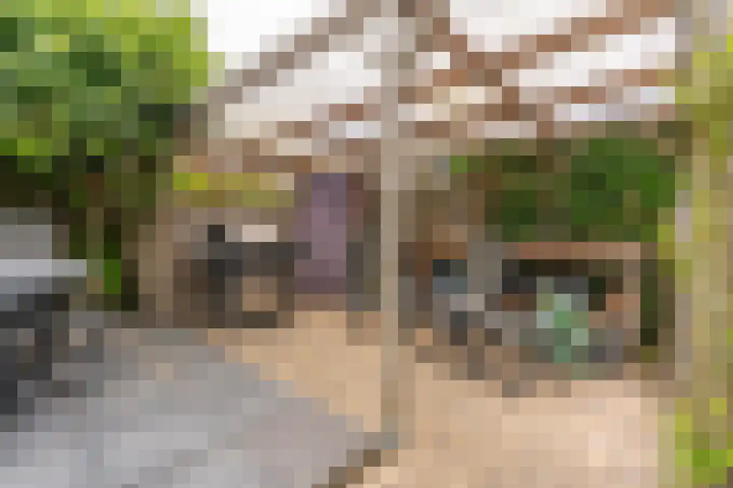 Draagmuur 52 Houten thumbnail 21