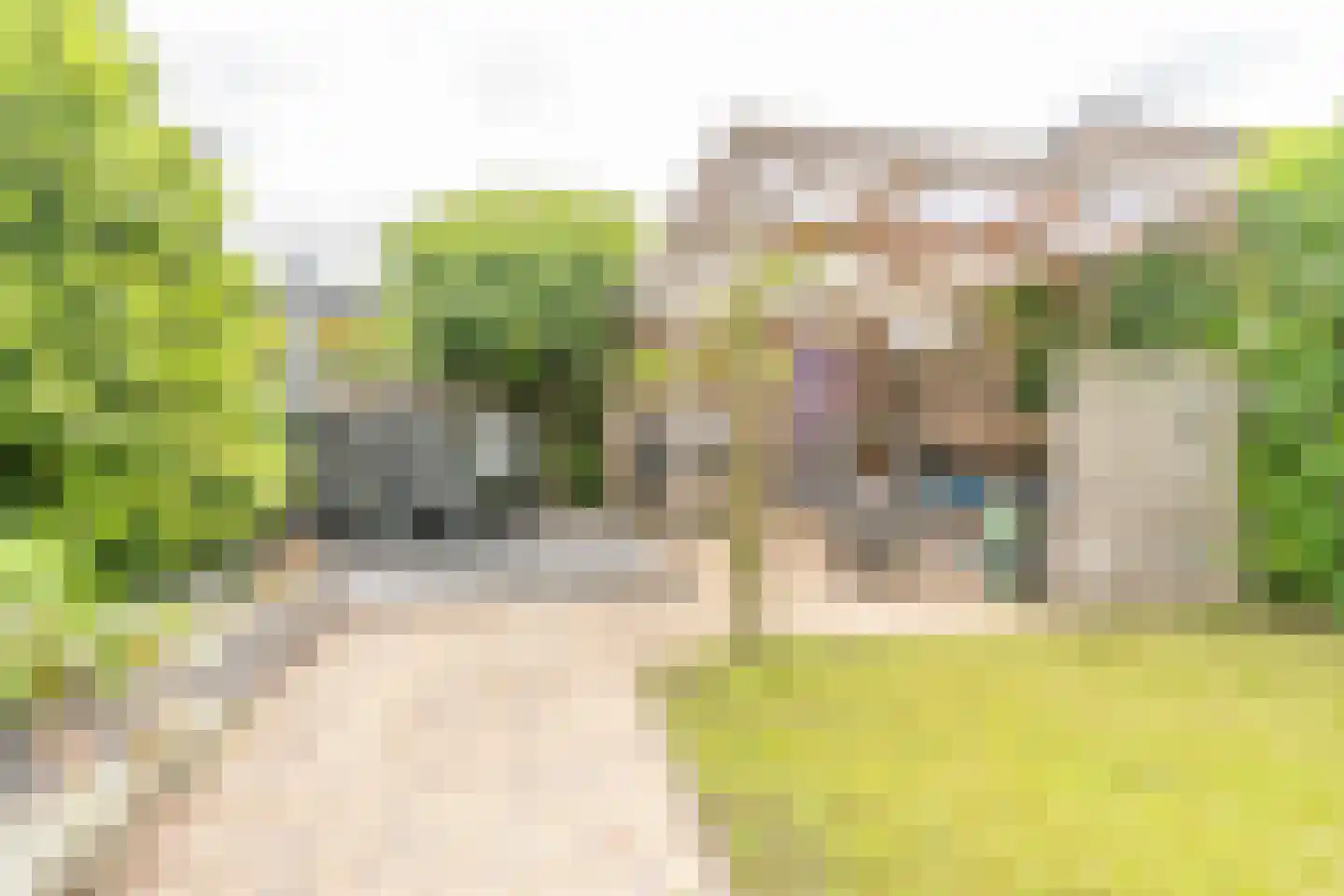 Draagmuur 52 Houten thumbnail 22