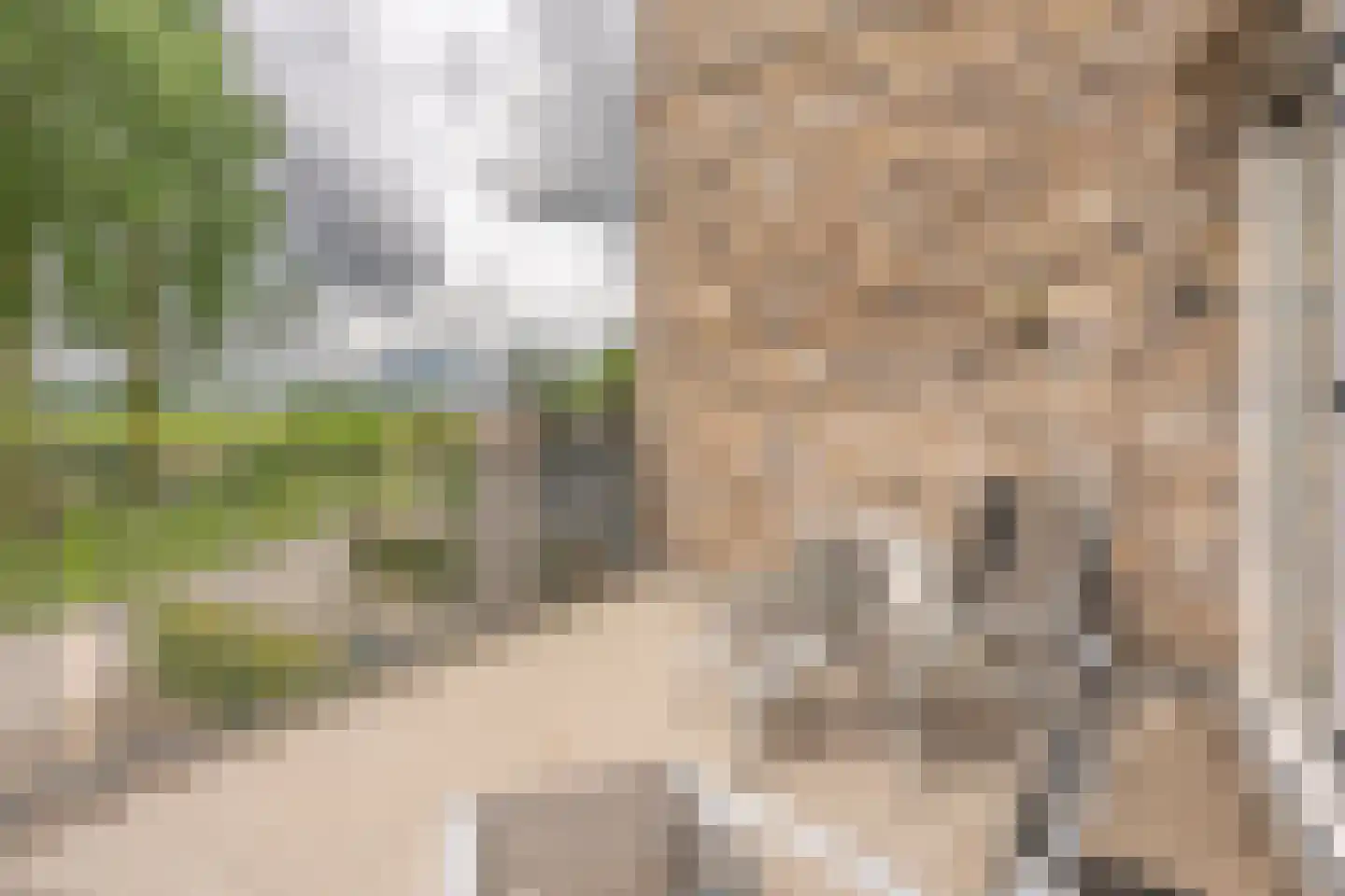 Draagmuur 52 Houten thumbnail 35