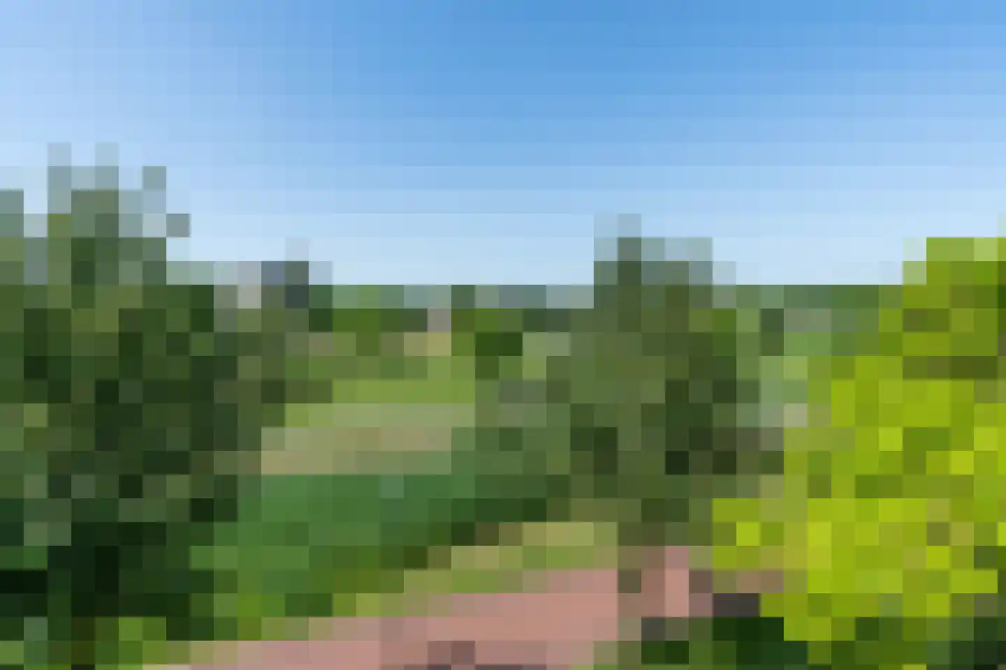Draagmuur 55 Houten thumbnail 32