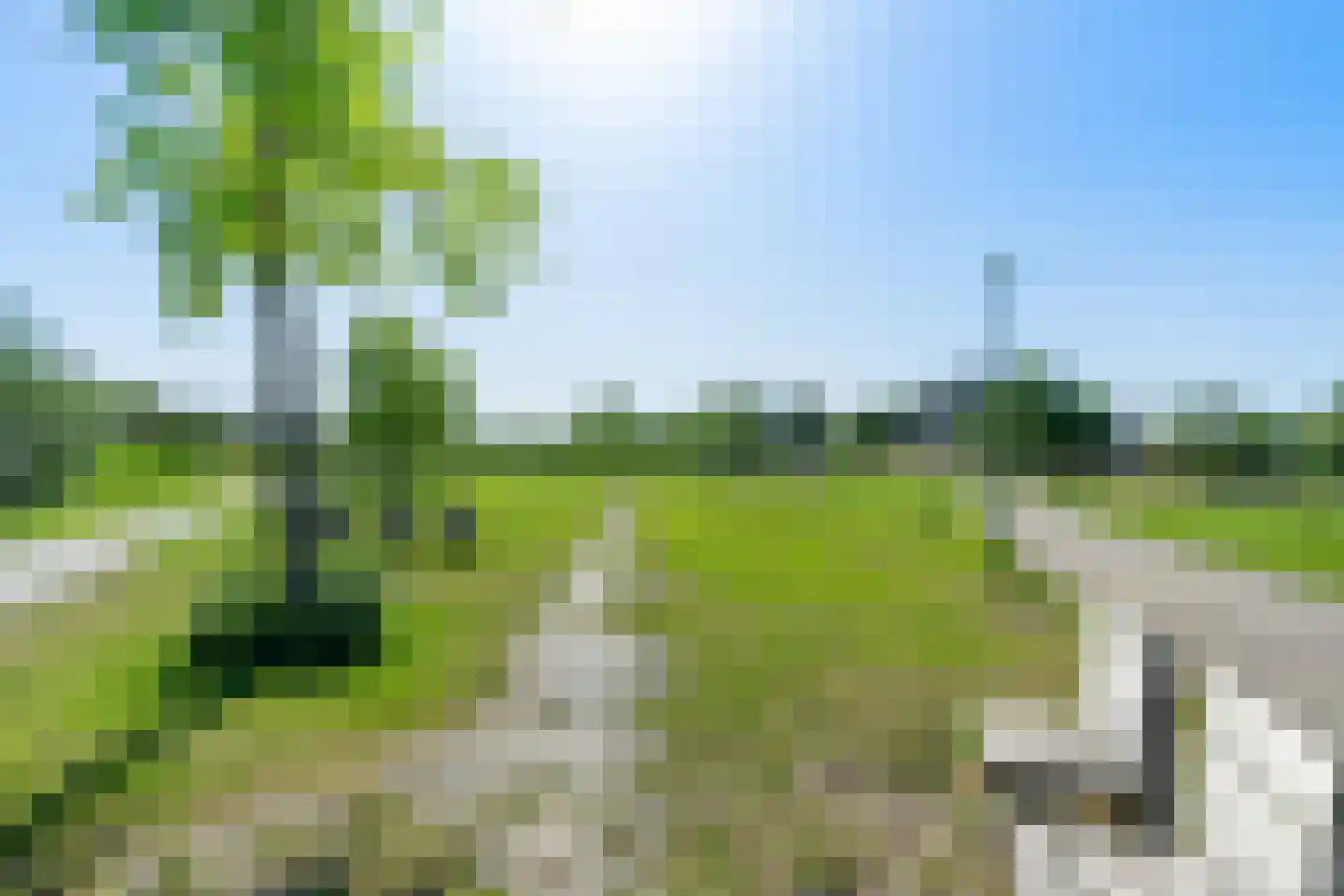 Draagmuur 55 Houten thumbnail 37